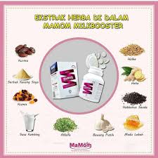 Anak pun tak meragam dah. Tips Banyakkan Susu Ibu Dengan Mamom Milk Booster Mobile