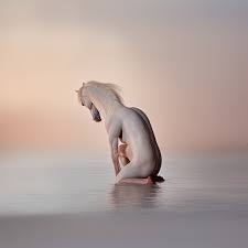 A Photographer Embraces the Alien Logic of A.I. | The New Yorker