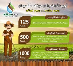 مزارع البركة اجود الاراضى الزراعية فى السودان للحجز والاستعلام يرجى الاتصال جوال واتساب 002 01111666648 002 01093307789 002 0222695525 Memes Ecard Meme Elis