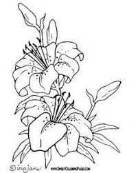 Simple coloring page with elegant flowers and leaves. Realistic Flower Coloring Pages Bing Images Flower Coloring Pages Coloring Pages Flower Drawing
