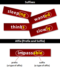 These examples are from corpora and from sources on the web. Suffix What Are Suffixes
