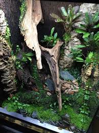 18x18x24 R Varadero Build Page 2 Dendroboard In 2020 Varadero Vivarium Moss Wall