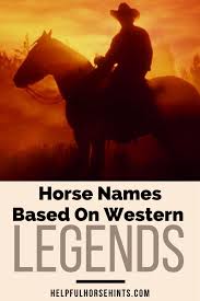 Black And White Horse Names 170 Western Horse Names For Mares And Geldings Male And Female Horse Names Horses Western Horse
