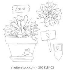 Black And White Plant Pots Clipart Set Of Flowers In Pots Painted Black Lines On A White Background Flowers Cactus Succulents Signs Sketch Flower Icons Painting Flowers