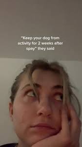 Cute Pomsky Puppy Reactions! 🤪