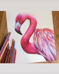 Art Artistsoninstagram Artist Artistoninstagram Artwork Artistsofinstagram Arts Artgallery Art Kus Sanat Boyama Kalemi Cizimleri Cizim Fikirleri