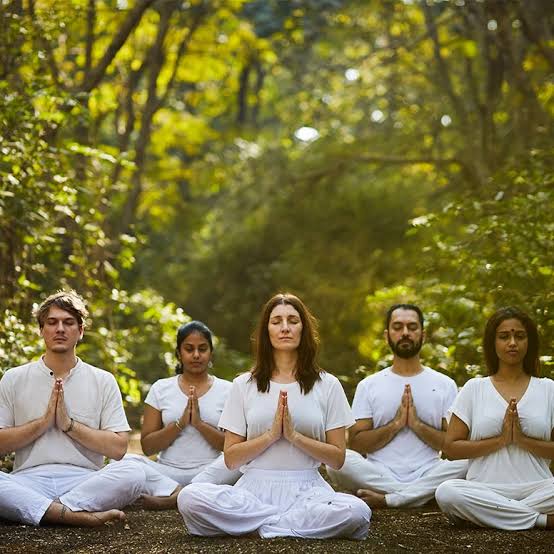 Yoga Teacher Training Institutes