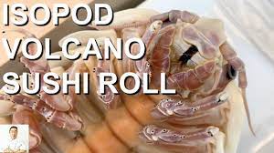 GRAPHIC: LIVE Isopod Volcano Sushi Roll | Real Life Pokemon Kabuto | Isopod  Cooking Hour - YouTube