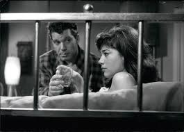 Ihr sohn dominik versteigert jetzt schweren herzens ihre kleider. Hannelore Elsner 76 Jetzt Meldet Sich Ihr Sohn Dominik Zu Wort