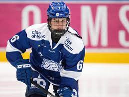 Check spelling or type a new query. Q A With Leksands If S Gracen Hirschy The Ice Garden