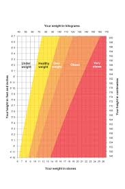 Bmi Height Weight Chart Kozen Jasonkellyphoto Co