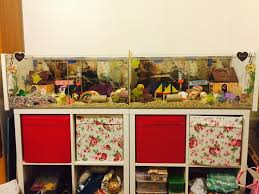 Amazon Com Page Not Found Hamster Cage Ikea Detolf Cool Hamster Cages