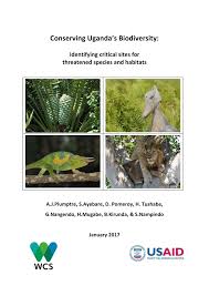 Image result for Pavetta pierlotii