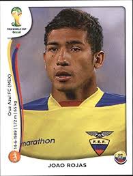 Amazon.com: 2014 Panini World Cup Stickers #368 Joao Rojas : Collectibles &  Fine Art