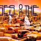 Houses of the Holy--The True Zeppelin Experience