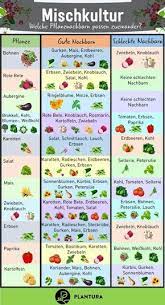 Hier sollten wir auf die frigopflanzen (frostpflanzen) zurückgreifen. Mischkultur Welche Pflanzen Passen Zusammen Plantura Garten Anpflanzen Garten Bepflanzen Mischkultur