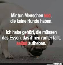 Mir Tun Menschen Leid Die Keine Hunde Haben Lustige Bilder Spruche Witze Echt Lustig Hund Witze Witze Lustige Bilder