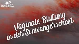Schwanger Trotz Periode Ursachen Von Blutungen
