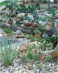 Below are some ideas that can hel. 10 Gorgeous And Easy Diy Rock Gardens That Bring Style To Your Outdoors Diy Crafts