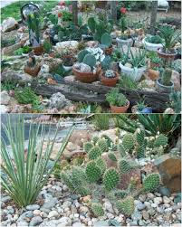 You can use stones, pebbles, and gravels of different shapes and sizes to enhance the beauty of your home. 10 Gorgeous And Easy Diy Rock Gardens That Bring Style To Your Outdoors Diy Crafts