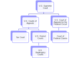 Court Jurisdiction Of Tax Issues And Appellate Structure