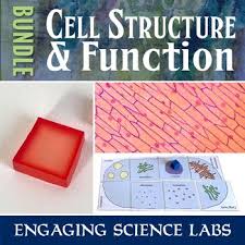 Here we have this different cells alive worksheet to advice you in every date. Answer Key Cells Alive Worksheets Teaching Resources Tpt