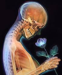 See Through Me An Art Print By Morgan Davidson Xray Art Realistic Pencil Drawings Beautiful Drawings