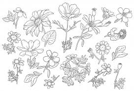 Vintage tropical flower pattern vector. Flower Outline Images Free Vectors Stock Photos Psd