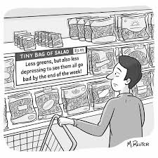 Image result for sarcastic comics