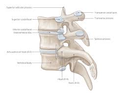 The persistence can be on a localstorage or even on a server via a restful api. Degenerative Disc Disease Amboss