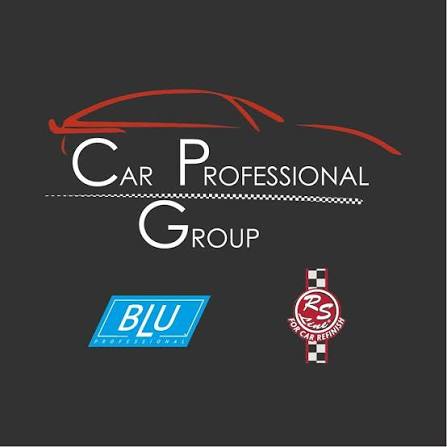 Logo Car Professional Group