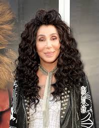 What's it like to go from being unattractive to gorgeous? Cher Destroying Career With Too Much Plastic Surgery Wonderwall Com