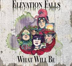 Image result for elevation falls
