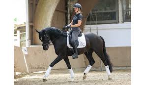 Ein reithelm schützt deinen kopf beim reiten und im falle von einem sturz vor schweren verletzungen. Kep Italia Alles Eine Reine Kopfsache Reitsport Blog Mit Produkttests Rider Deluxe