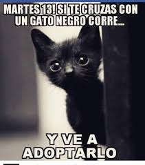Los mejores memes del martes 13. Gatos Con Alma