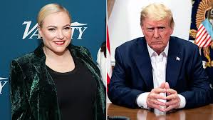 Meghan mccain had a good comeback, folks. Meghan Mccain Trolls Trump After Arizona Loss With John Mccain Meme Hollywood Life