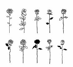 Roses Aesthetic Roses Aesthetic Simple Rose Tattoo Cute Tattoos Rose Tattoo Design