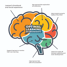 Probably a lot to do with the. The Brain Basis For Social Emotional Learning Also Supports Academic Learning
