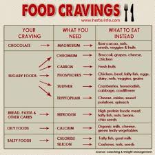 Food Cravings Chart Tumblr