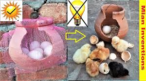 Can duck eggs hatch without an incubator? Hatch Eggs Without Incubator 100 Real Video Egg Incubator Without Electricity Sunlight Hatching Youtube