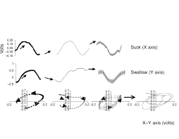 Olesya zhurakovskaya, oleksandr rudynskyi, maksym samchyk and others. Construction Of An X Y Plot Of Three Successive Suck And Swallow Download Scientific Diagram