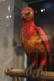 So i love harry potter and so the phoenix bird. Harry Potter Fawkes Harry Potter Creatures Phoenix Harry Potter Harry Potter Cosplay