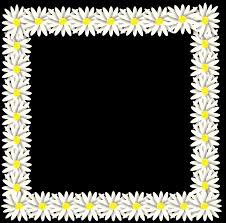 The bundle includes 10 borders for only $4.99. Spring Daisy Flower Free Image On Pixabay