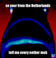 To access the nether, the player must construct a nether portal in the overworld (portals created in the end do not activate). Post By Nopulserduzmeme Memes