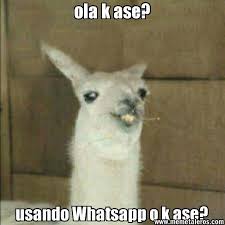 Pin En Memes