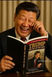 Nigerian slang "maga" means easily fooled or sucker