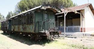 Image result for NAZİLLİ -UZUN YAŞAM-GÖRSEL-