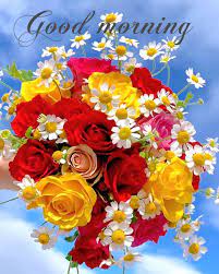 Good morning - Beautiful Flower Garden. | Facebook