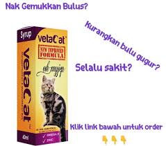 Disusun bersama brian bourquin, dvm. Ubat Menghilangkan Kurap Kucing Rawatan W