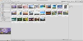 تحميل برنامج Acdsee Photo Studio Standard 2019 لتحرير الصور دايركت أب